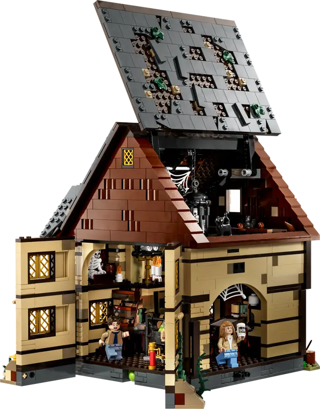 21310_alt9