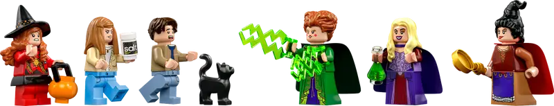 21310_alt11